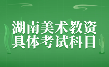 湖南美术教资考试科目