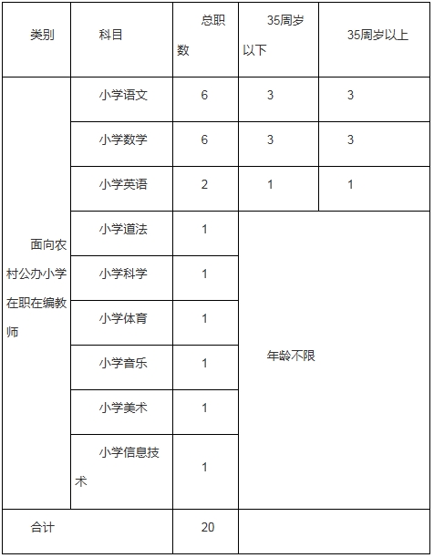 城区小学