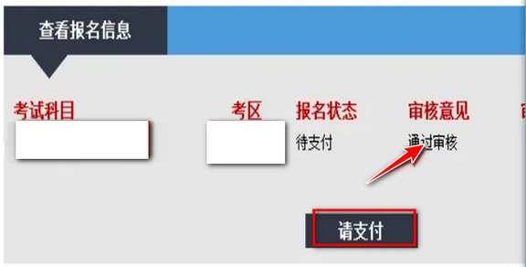 审核成功示意图