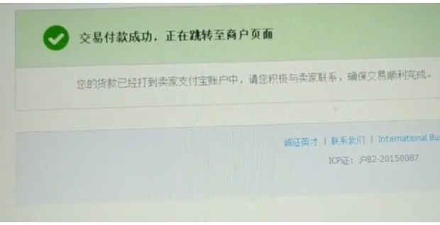 支付成功示意图