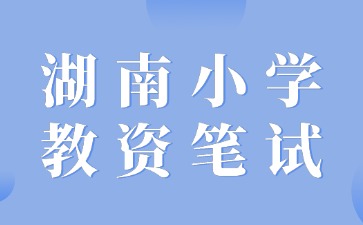 湖南小学教师资格考试报名费